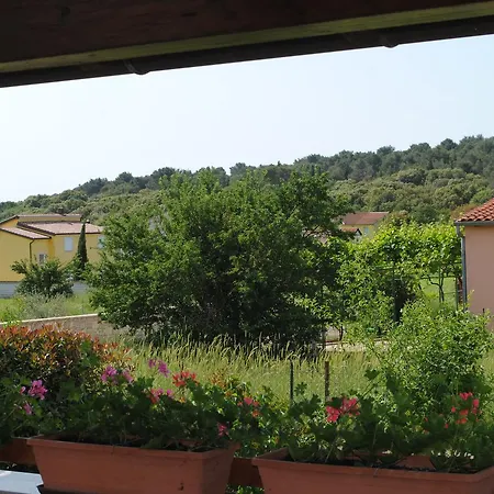 Holiday Ana 아파트 *