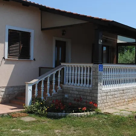 Holiday Ana * 풀라